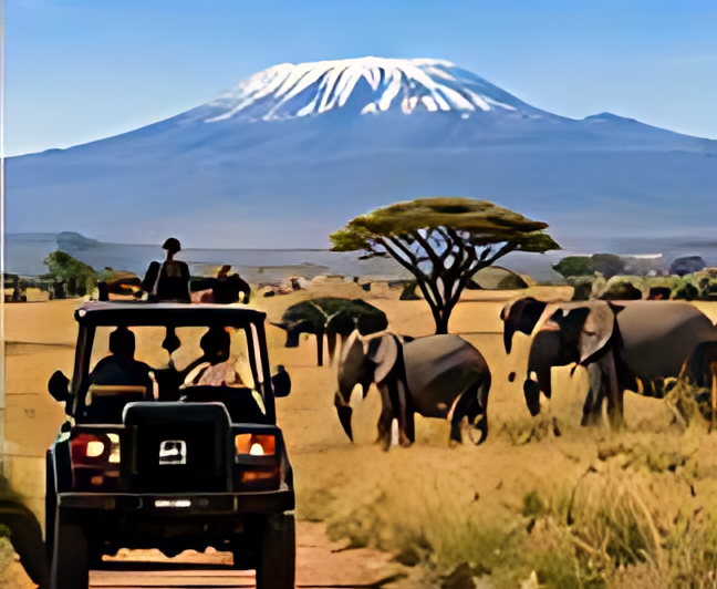 Elephants grazing on the plains beneath Kilimanjaro