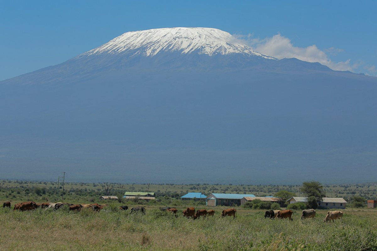 The snow-capped summit of Mount Kilimanjaro rising above open plains