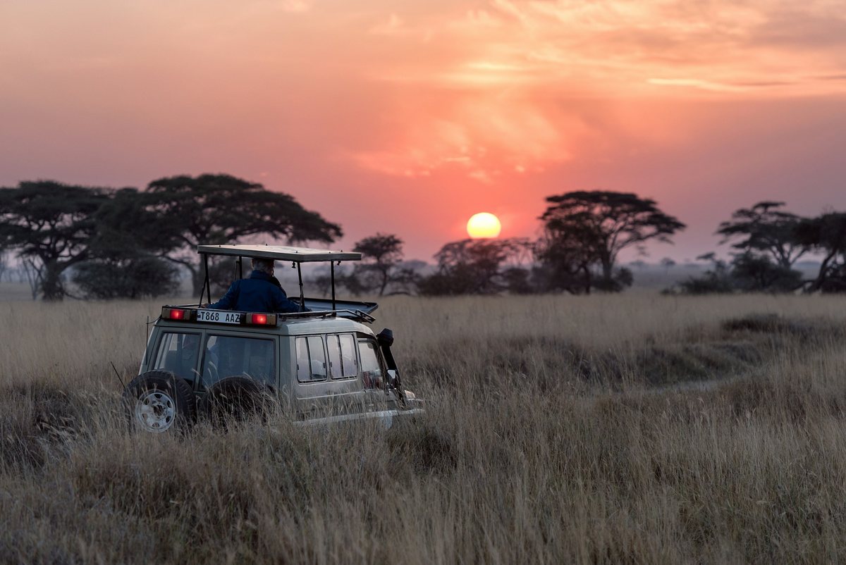 A safari vehicle watching the sun set over acacia-dotted plains